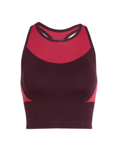 Icebreaker Wmns Meld Zone Long Sport Bra