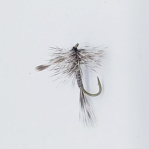 Grey Quill Dry Fly
