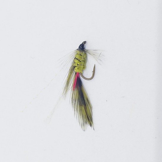 Parsons Glory Wet Fly