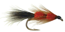 Red Setter Fly