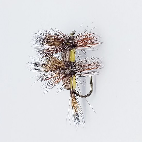 Dry Fly #36