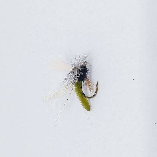 Olive Caddis Dry Fly