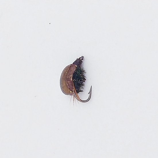 True Beetle Dry Fly