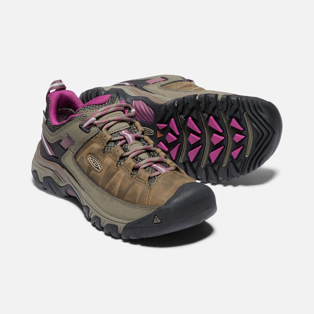 targhee iii low